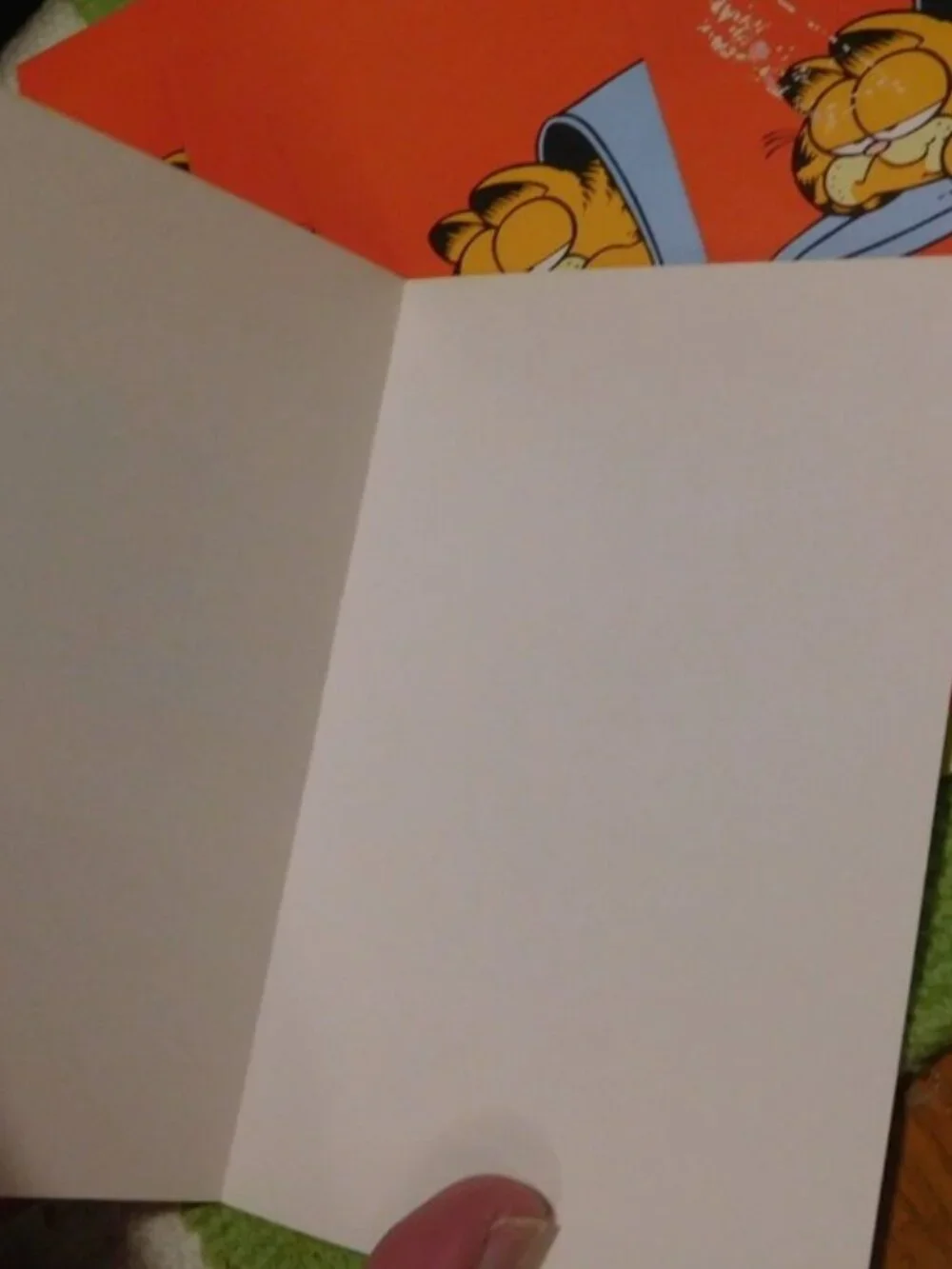 Garfield vintage finds